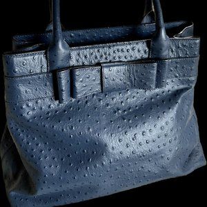 Kate Spade Blue Ostrich Tote